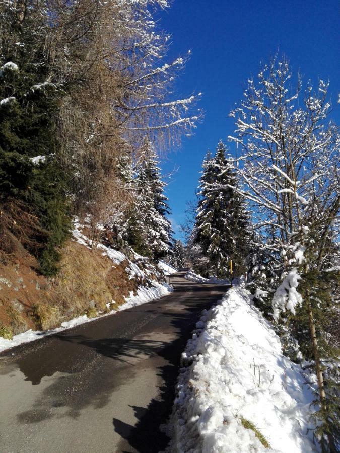 Wegscheiderhof Daire Dobbiaco Dış mekan fotoğraf